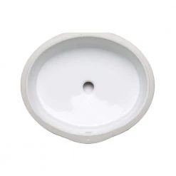 KOHLER Verticyl Oval Vitreous China Undermount Bathroom Sink in White with Overflow Drain
