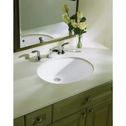 KOHLER Caxton 16-1/4 in. Oval Vitreous China Undermount Bathroom Sink in White with Overflow Drain 15 KOHLER Caxton 16-1/4 in. Oval Vitreous China Undermount Bathroom Sink in White with Overflow Drain -Bathroom Sinks Sales white kohler undermount bathroom sinks k r2210 0 40 1000