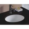 Wells Rhythm Series 17 in. Oval Undermount Single Bowl Bathroom Sink in White 2 Wells Rhythm Series 17 in. Oval Undermount Single Bowl Bathroom Sink in White -Bathroom Sinks Sales white wells undermount bathroom sinks rtu1714 6w 64 1000